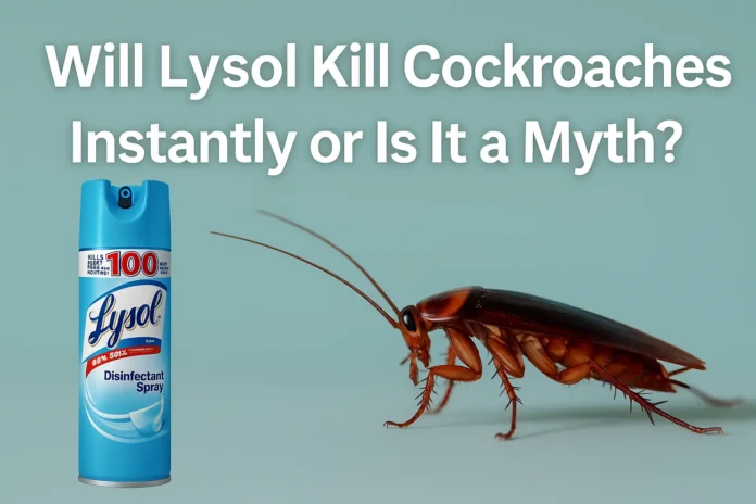 Will Lysol kill cockroaches